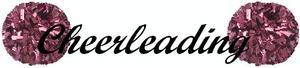 Prairie du Chien Cheerleading 2014